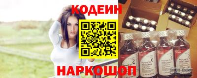 МДПВ Камышлов