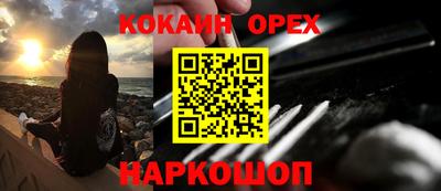 МДПВ Камышлов