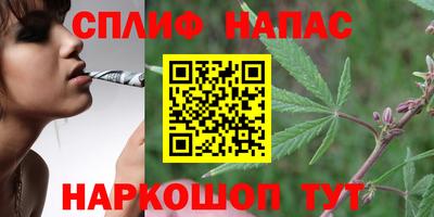 крисы Кандалакша