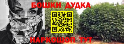 крисы Кандалакша