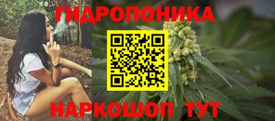 МДПВ Кингисепп