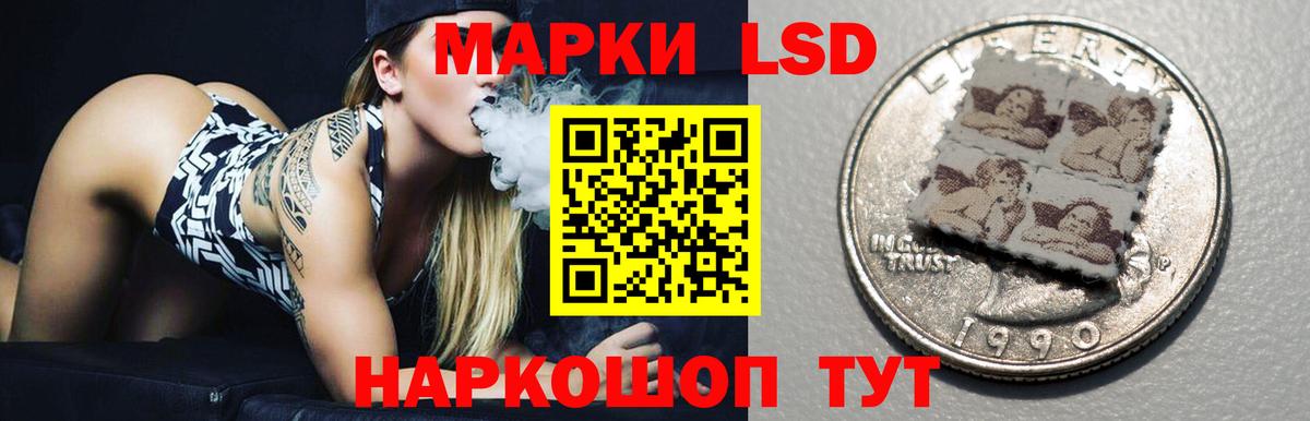 ЛСД экстази ecstasy  гидра tor  Вход с VPN  Курчалой  LSD-25 экстази кислота 
