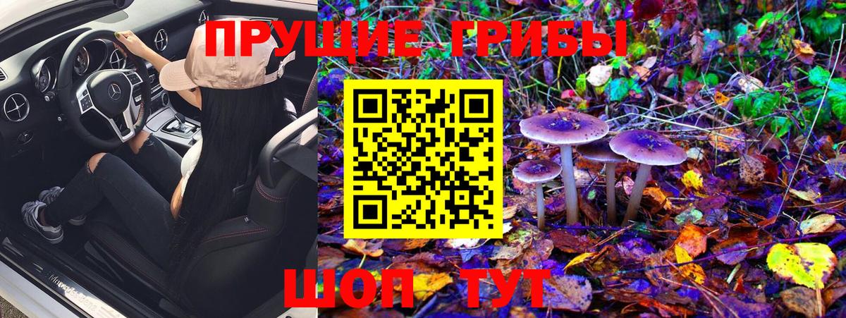 Псилоцибиновые грибы Magic Shrooms Курчалой