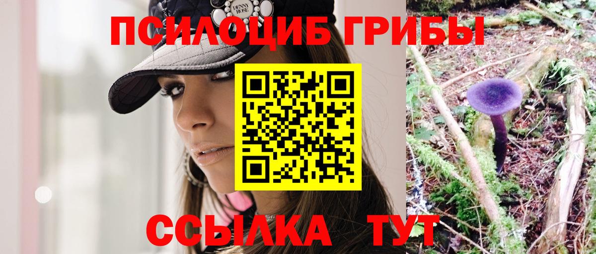 Курчалой  Галлюциногенные грибы ЛСД  Вход с VPN 